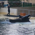 Marineland Antibes - 017