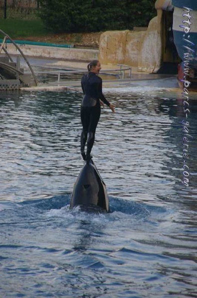 Marineland_Antibes_-_019.jpg