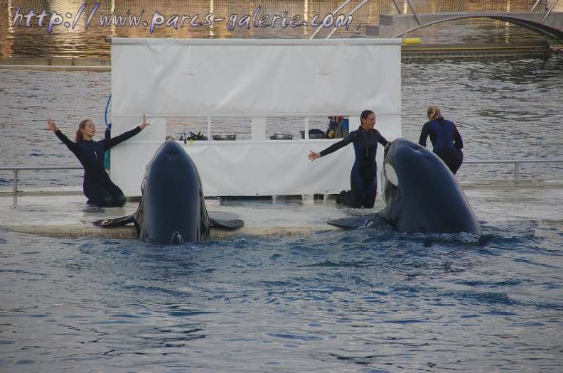 Marineland_Antibes_-_023.jpg