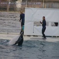 Marineland Antibes - 028