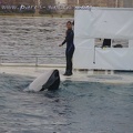 Marineland Antibes - 029