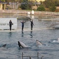 Marineland Antibes - 030