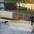 Marineland Antibes - 045