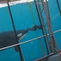 Marineland Antibes - 046