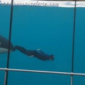 Marineland Antibes - 047