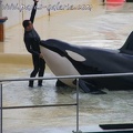 Marineland Antibes - 049