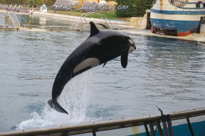 Marineland_Antibes_-_052.jpg