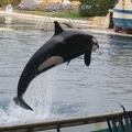 Marineland Antibes - 052