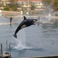 Marineland Antibes - 055