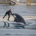 Marineland Antibes - 057