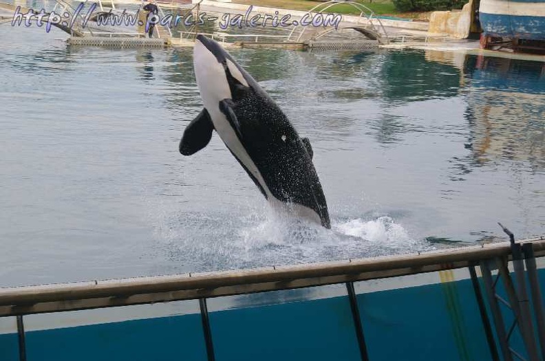 Marineland_Antibes_-_058.jpg